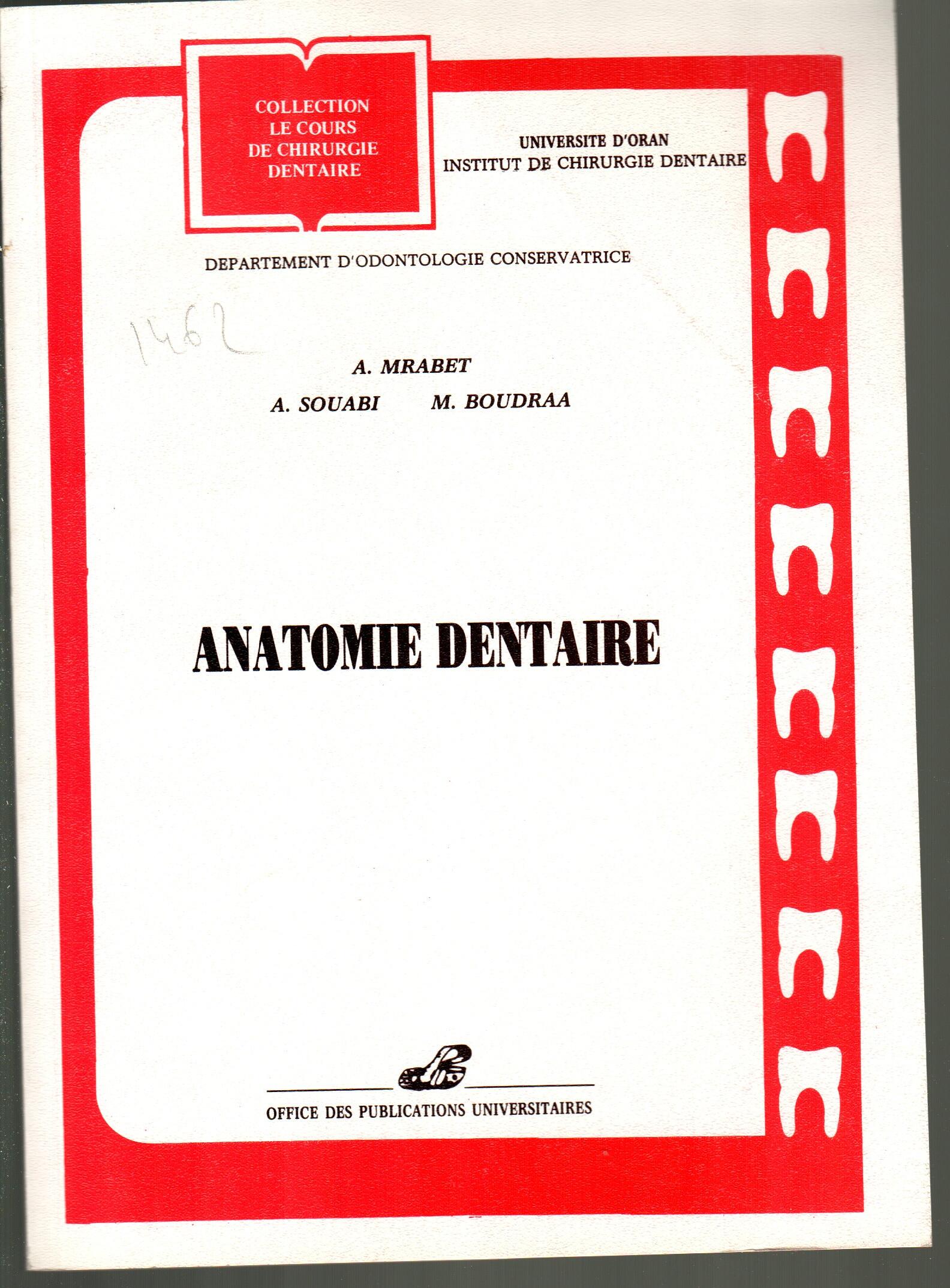 Anatomie dentaire