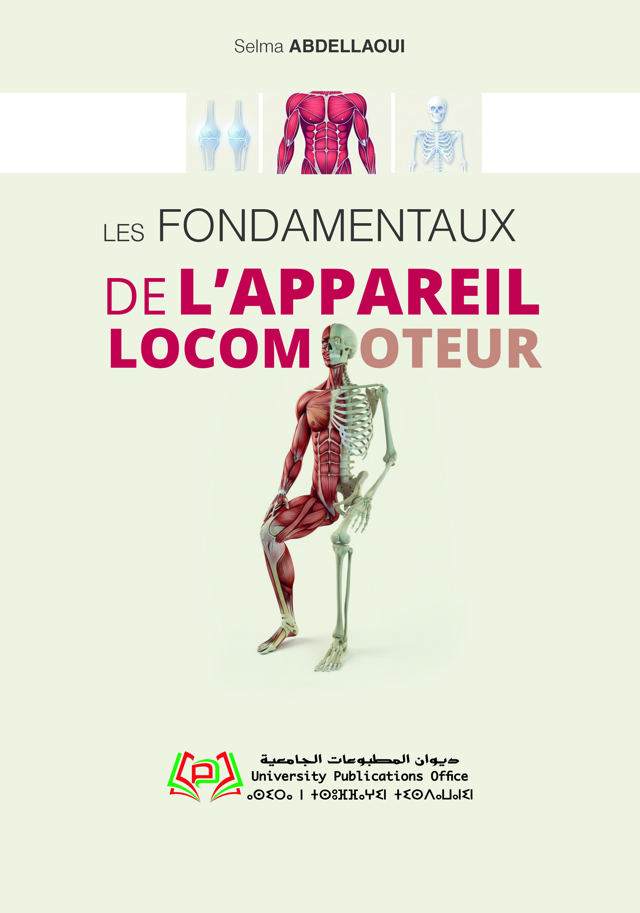 LES FONDAMENTAUX DE L’APPAREIL LOCOMOTEUR