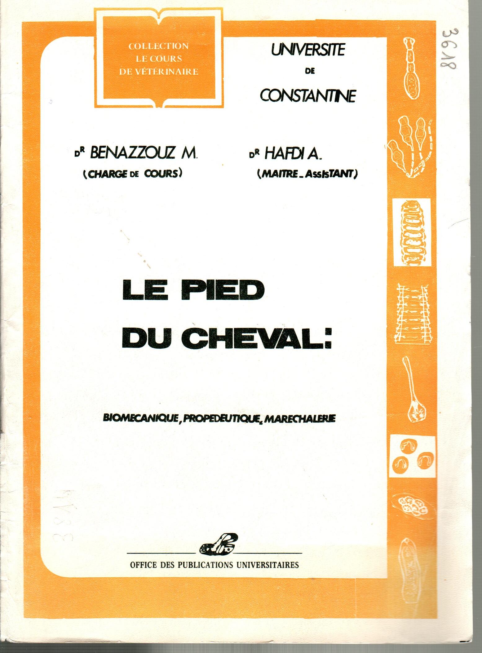 le pied du cheval